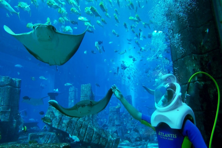 Experience The World’s Deepest Aqua Trek Experience Now In Dubai