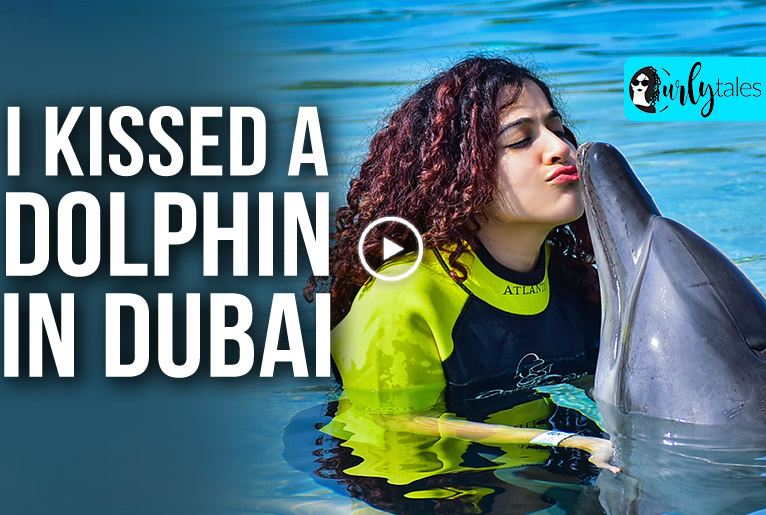 Dolphin Bay Dubai: All You Need To Know About Your Dolphin Encounter
