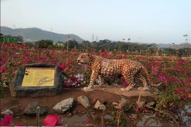 Gujarat Zoo Near Statue Of Unity To Become Home To Animals From 17 Countries!