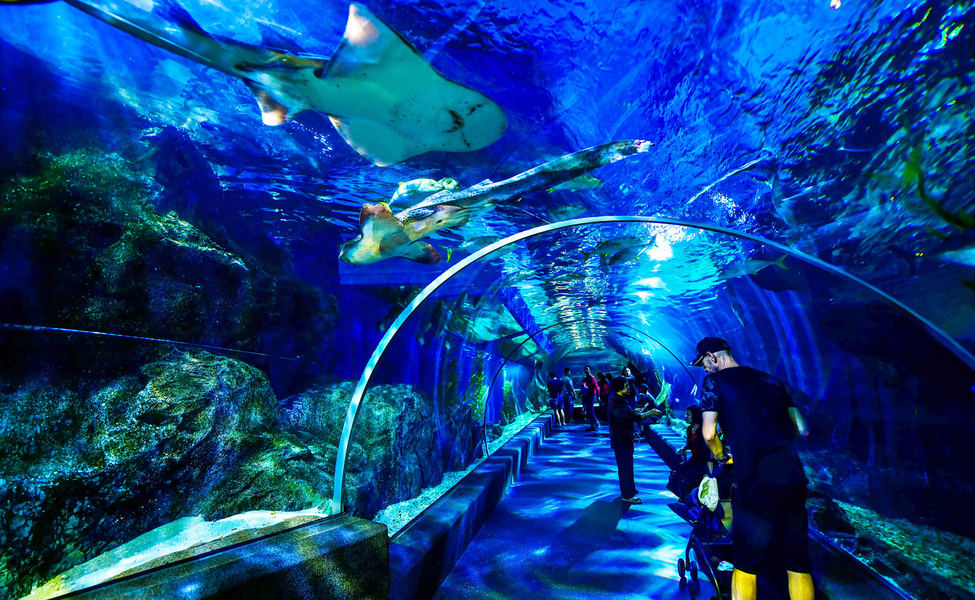 Mumbai To Get Multi Storey, Bangkok Styled Aquarium Soon