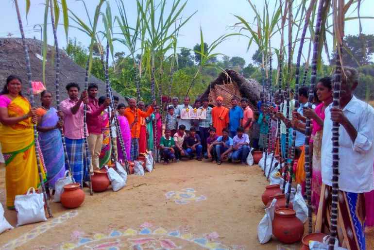 Pongal 