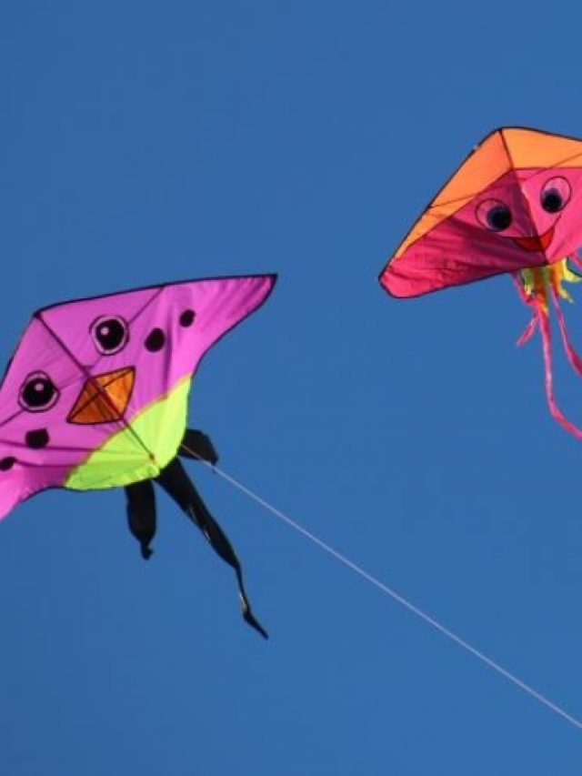 cropped-kite.jpg