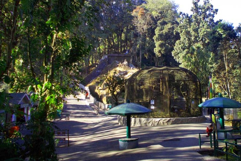 Darjeeling zoo