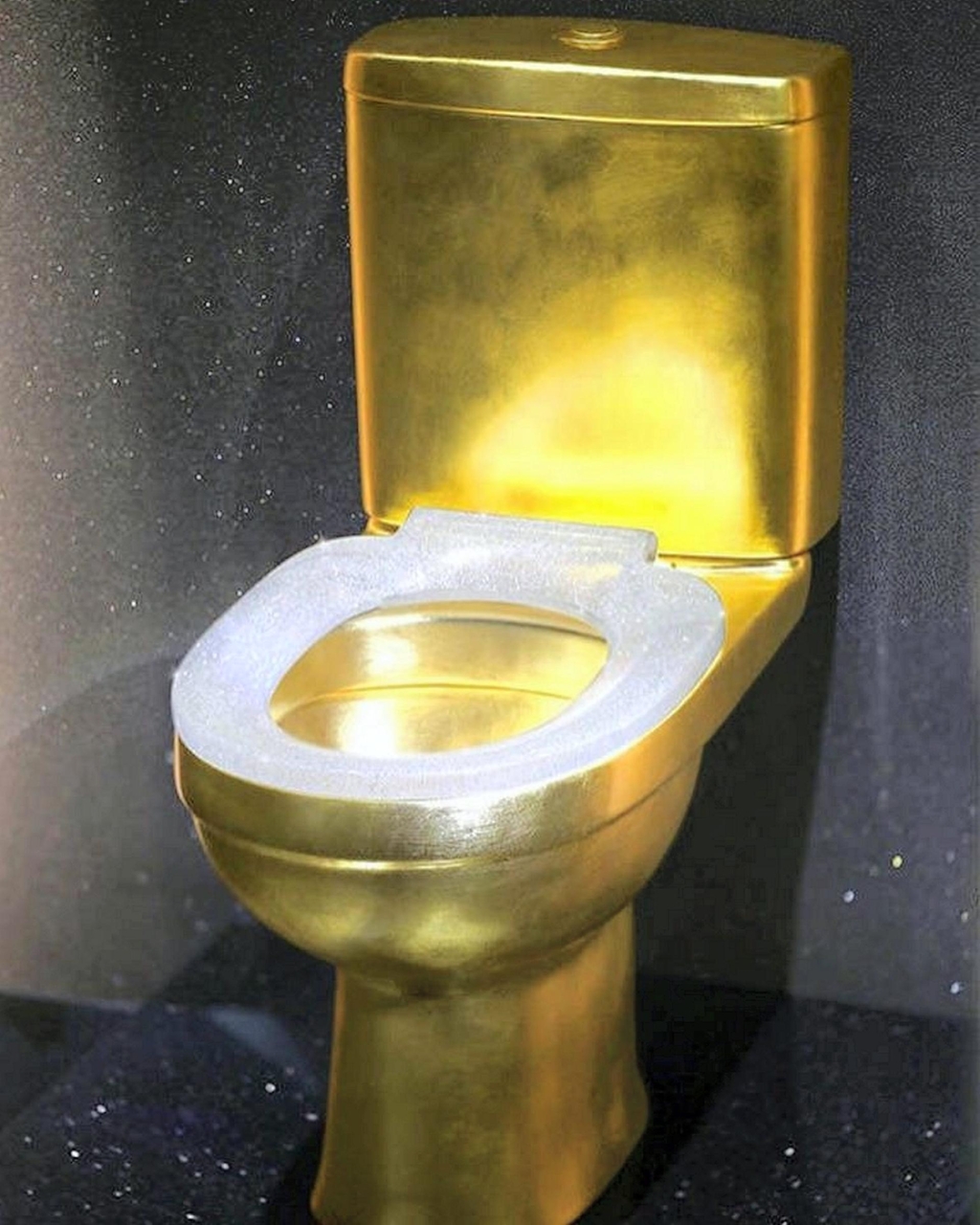 Diamond toilet
