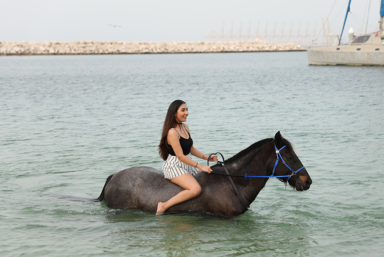Swim With The Horses At JA The Resort In Jebel Ali, Dubai