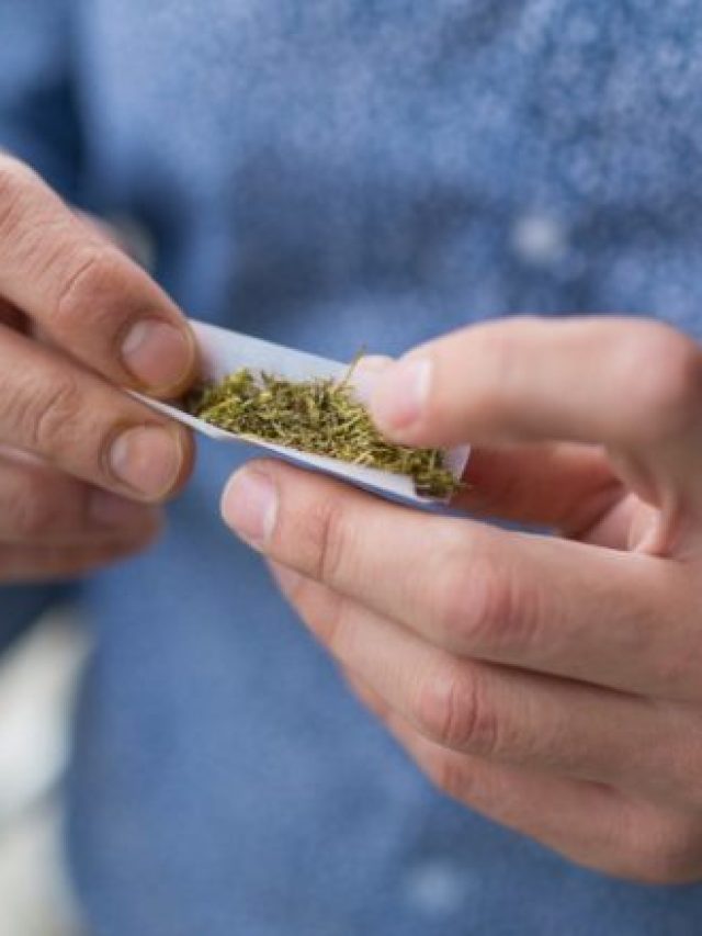 shu-Gen-Cannabis-Joint_321330785-1440x823