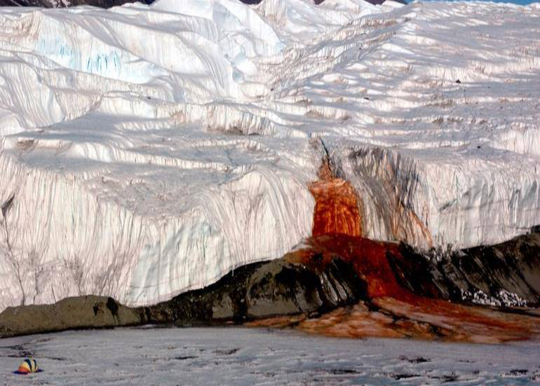 The Blood Falls In Antartica Pours Out Red Blood-Like Liquid