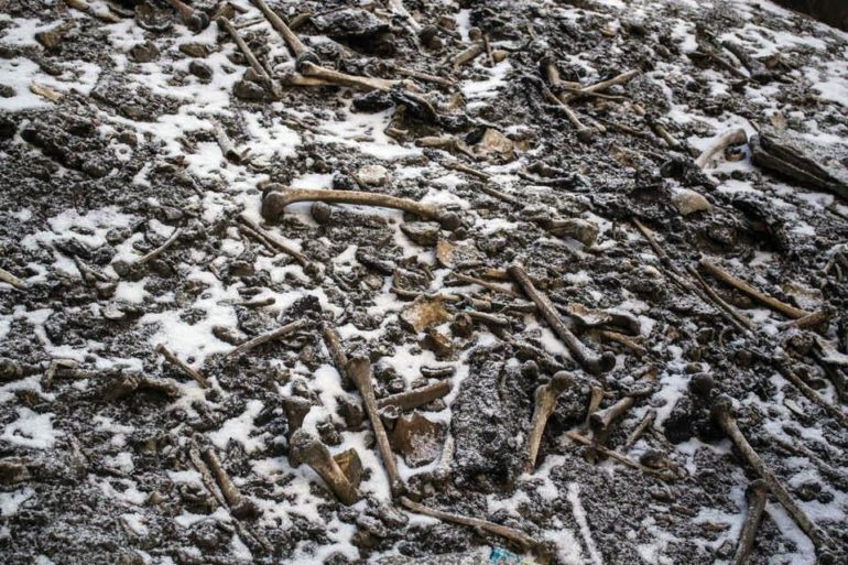 This Lake In Uttarakhand Contains Hundreds Of Skeletons Belonging To 800 AD