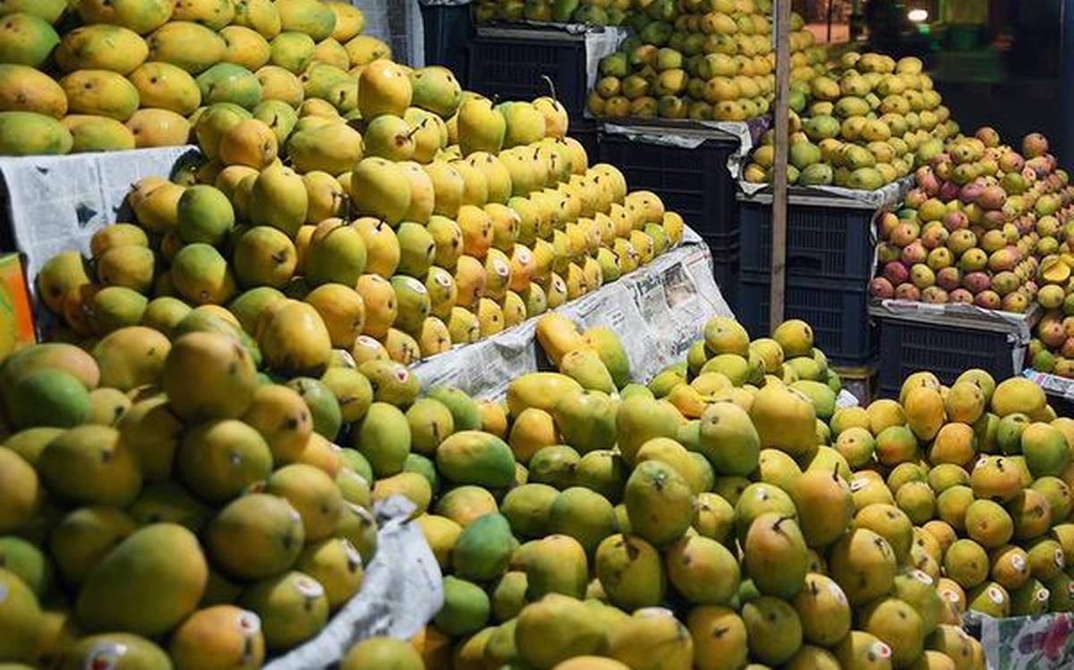Foodies Cannot Miss The Pakistan Mango Festival In Dubai