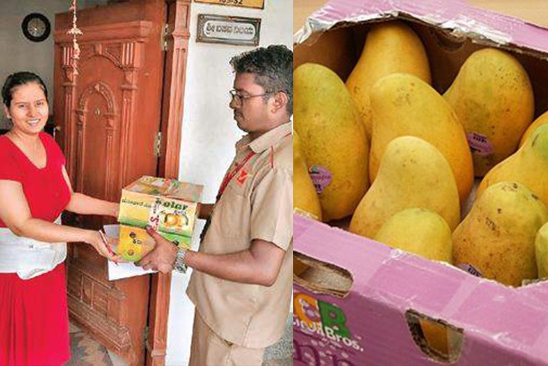 Post Office To Deliver Mangoes To Homes In Bangalore