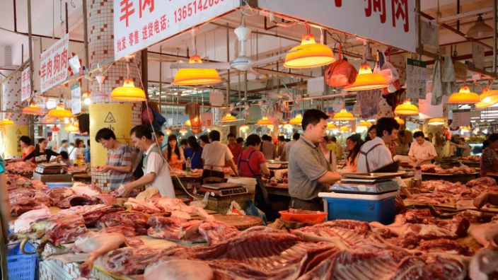 Shenzhen bans exotic meats 