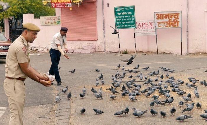 Jaipur 15000 chapatis strays 