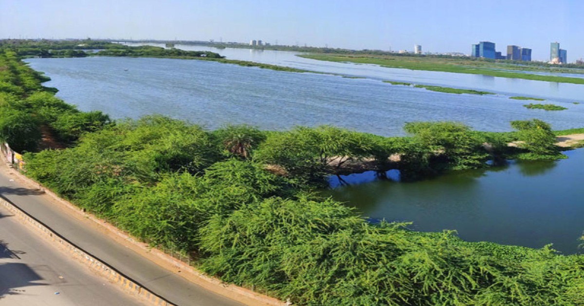The ‘Unbelievable’ Happens As Yamuna Water In Mathura Turns Transparent!