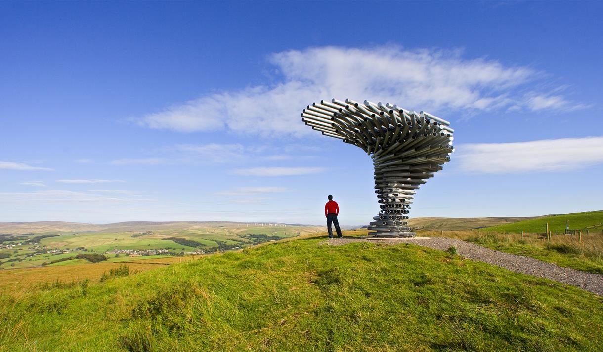 England’s 10 Feet Tall Sculpture Produces Music Every Time The Wind Blows