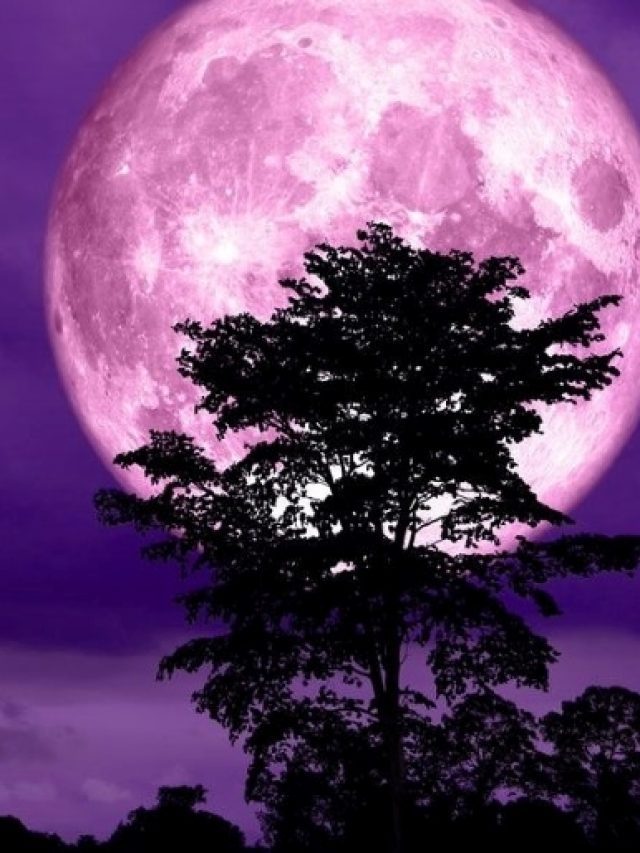 5 Ways To Catch A Glimpse Of Pink Moon In Dubai Tonight!