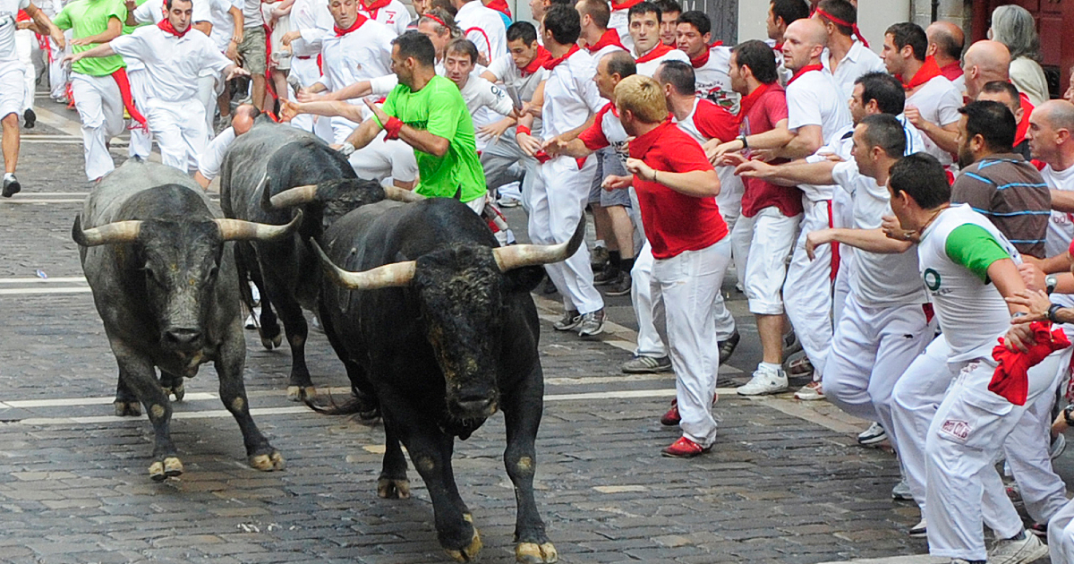 Bull-Running Festival of Spain San Fermin