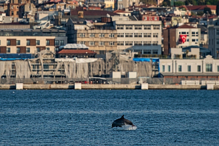Bosporus Strait of Istanbul