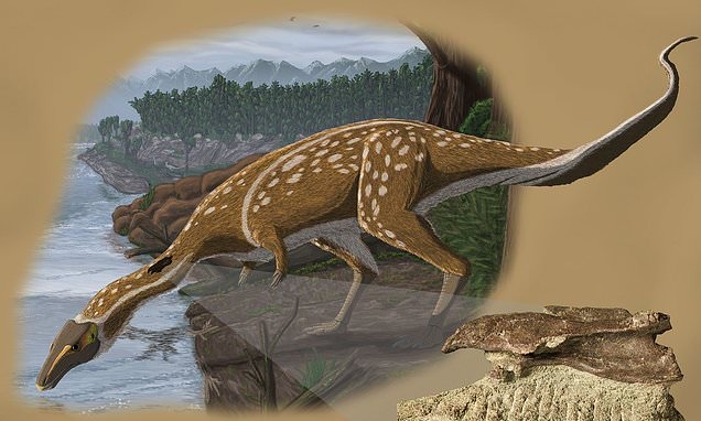  Rare Toothless Dinosaur Discovered In Australia 