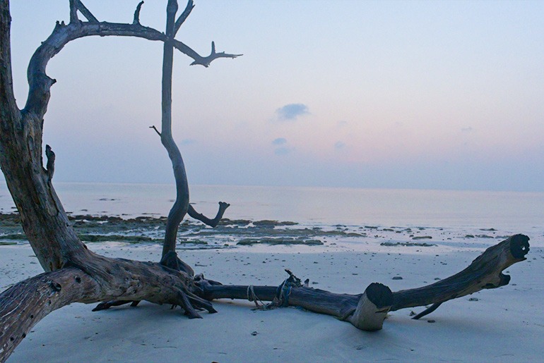 radhanagar beach andaman