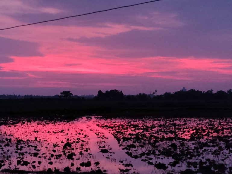 Sky Is pink In Bhubaneshwar Post Cyclone Amphan