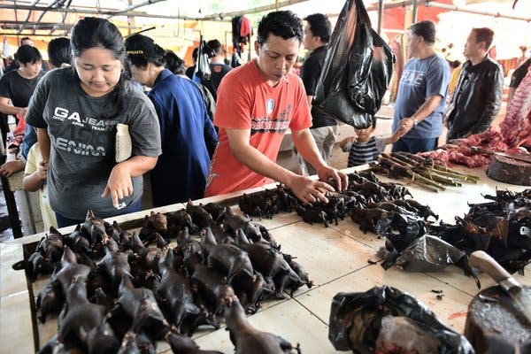 Bats Are Reportedly Back On The Menu In Indonesia’s Tohomon Market