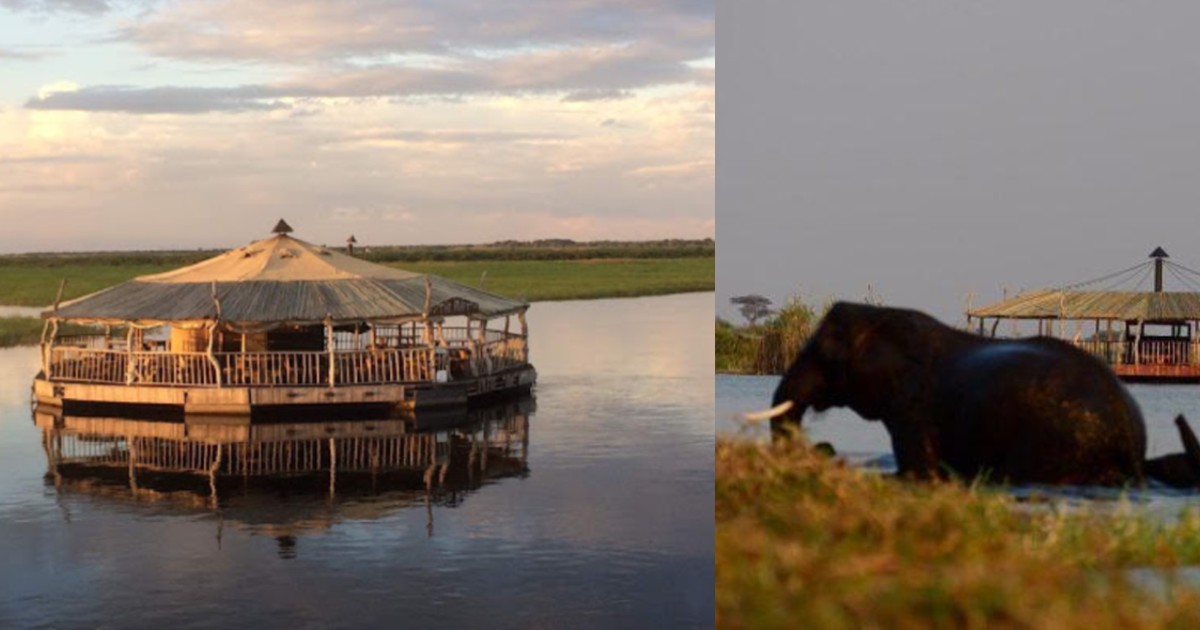 Africa’s Floating Restaurant Offers Wildlife Experience