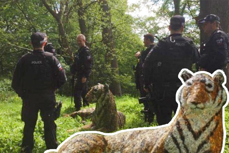Cops, Helicopter Arrive To Catch Tiger On The Loose Only To Find It’s A Sculpture