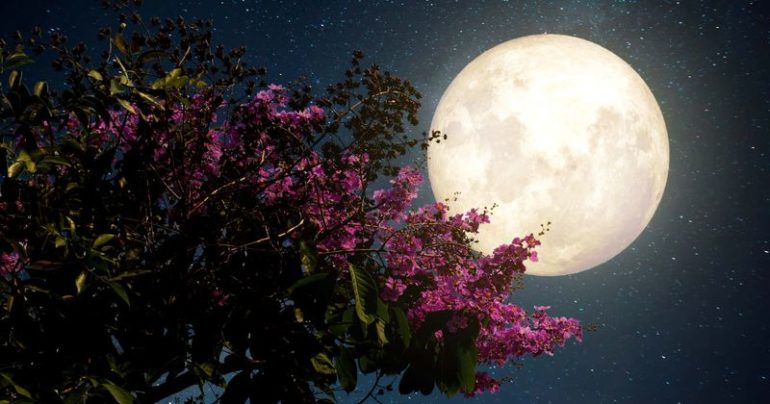 4 Amazing Celestial Events Happening In May, Including The Last Super-moon Of 2020