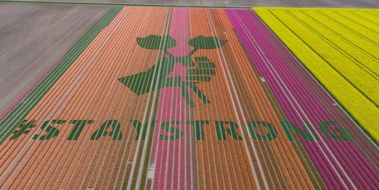 Dutch Farmers Are Writing Heartwarming Messages Of Hope In Their Blooming Tulip Fields
