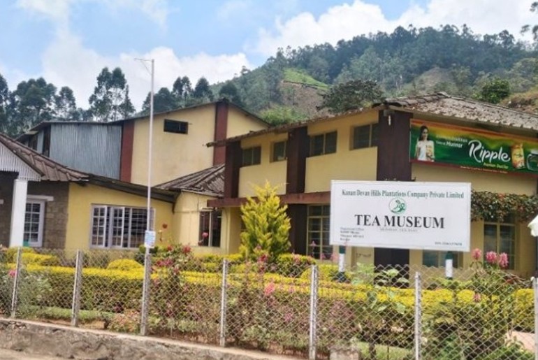 Munnar tea plantations