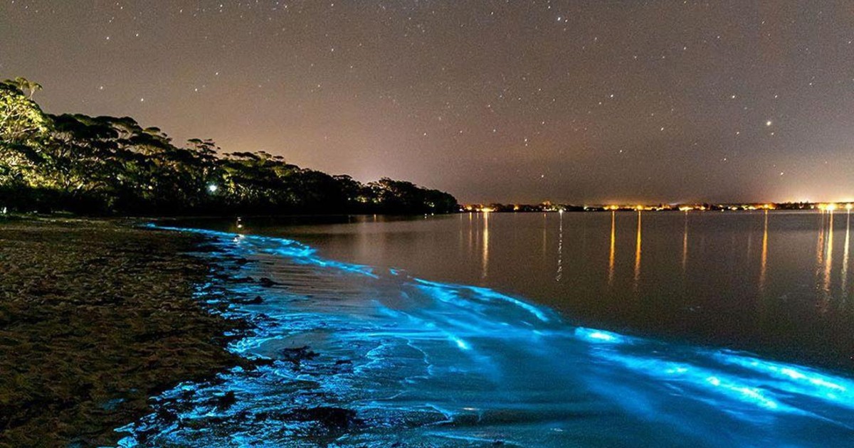 6 Unusual Phenomenons Of Australia That Need To Be Experienced Once In A Lifetime