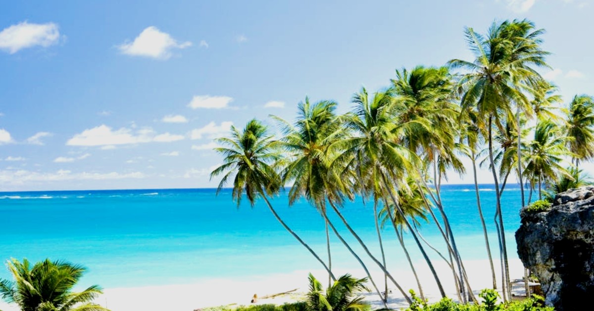 You Can Work From A Beach In Barbados For Next 12 Months; Here’s How