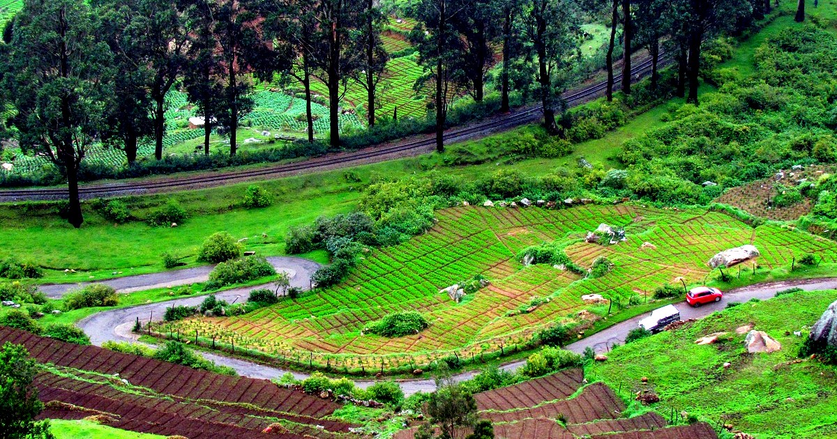 5 Lush Green Hill Stations Of India Where You Can Breathe Fresh Air