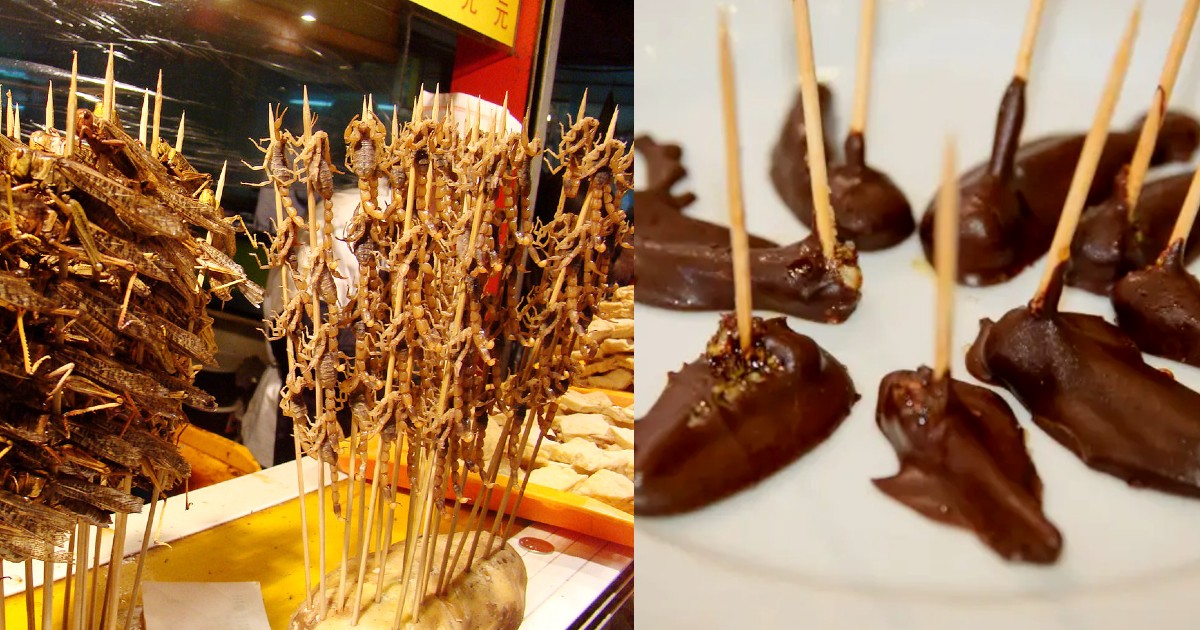 Locust Chocolate Or Locust Kebabs: These 5 Countries Eat Locusts As A Delicacy