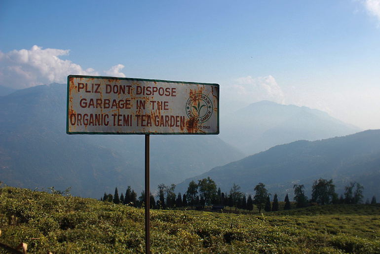 Sikkim Organic State Oscar