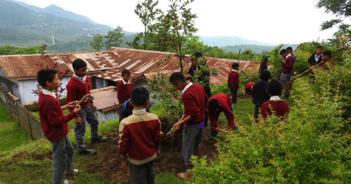Nagaland School Kids Grow Pulses, Fruits & Vegetables For Mid-Day Meals; Inspire Whole Village