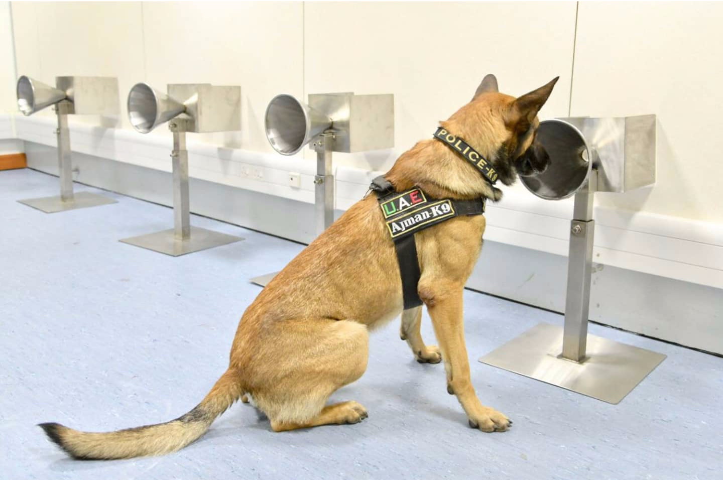 Police dog doing the test