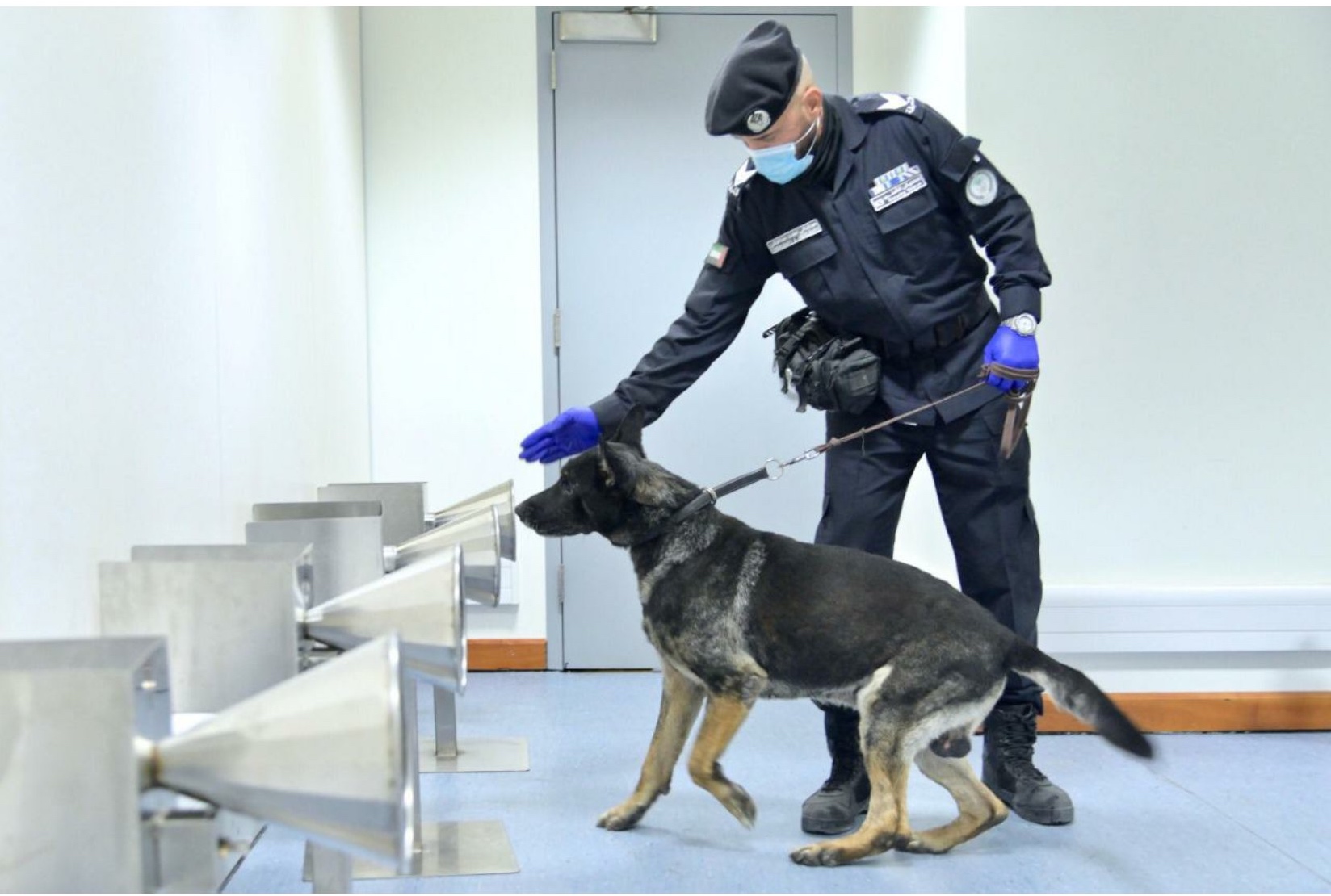 sniffing dogs in action at Dubai airport