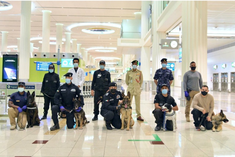 sniffing dogs ready for detecting COVID