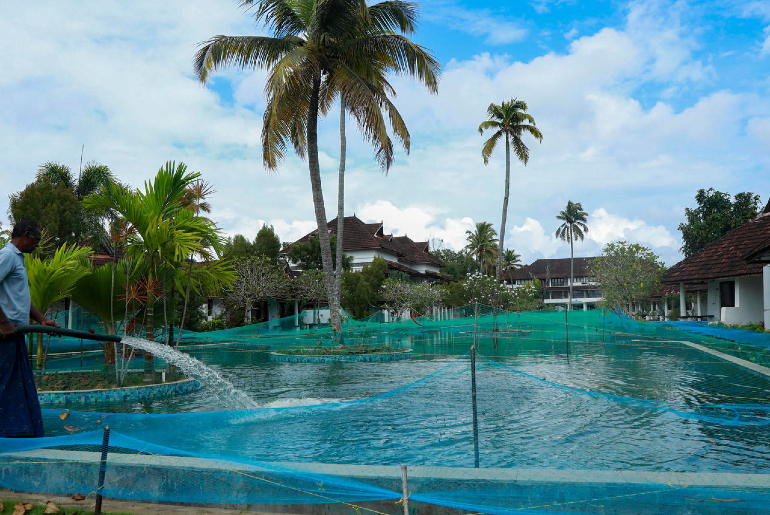 Kerala hotel turns swimming pool into fish farm