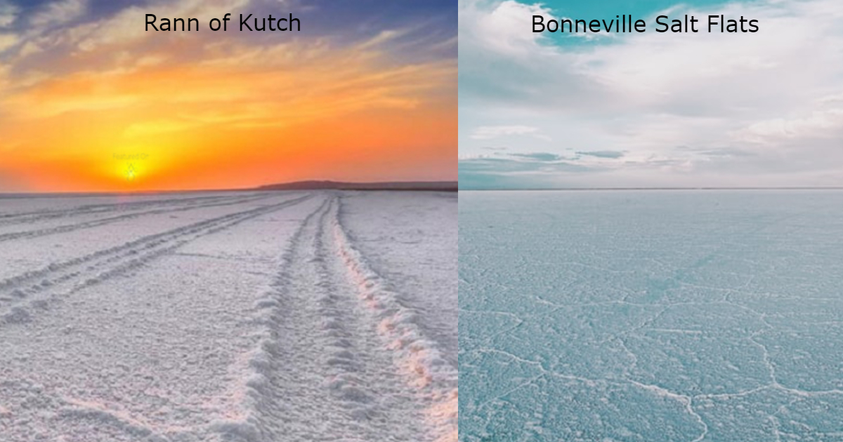 Rann Of Kutch: Top Things To Do At India's Largest Salt Desert