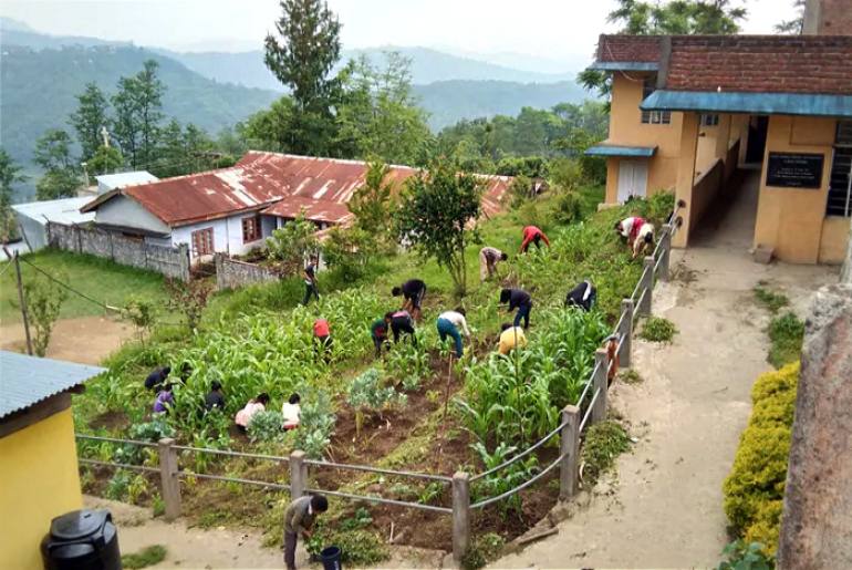 Nagaland School Kids Grow Vegetables