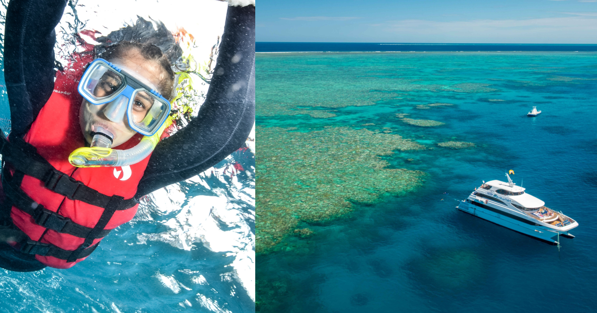 I Travelled SOLO From India To Dive Into The Great Barrier Reef In Australia & Knocked It Off My Bucket List