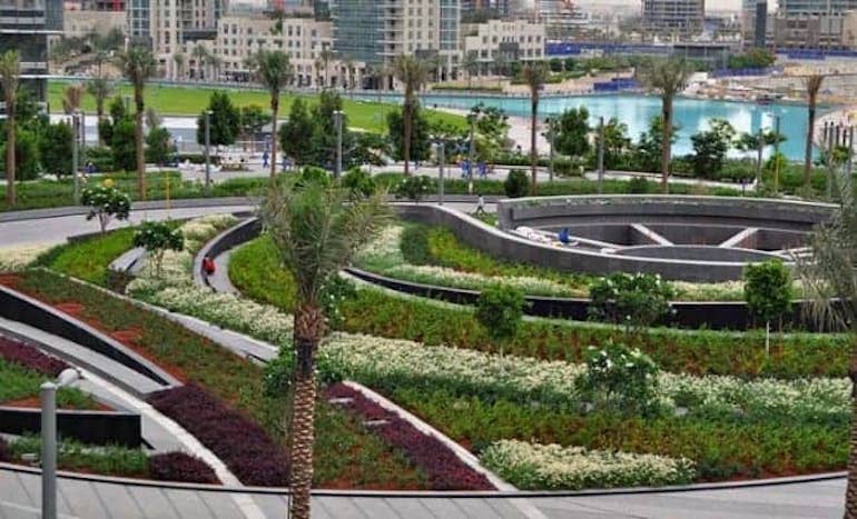 top-6-picnic-spots-in-abu-dhabi-that-are-perfect-to-relax-over-the-weekend