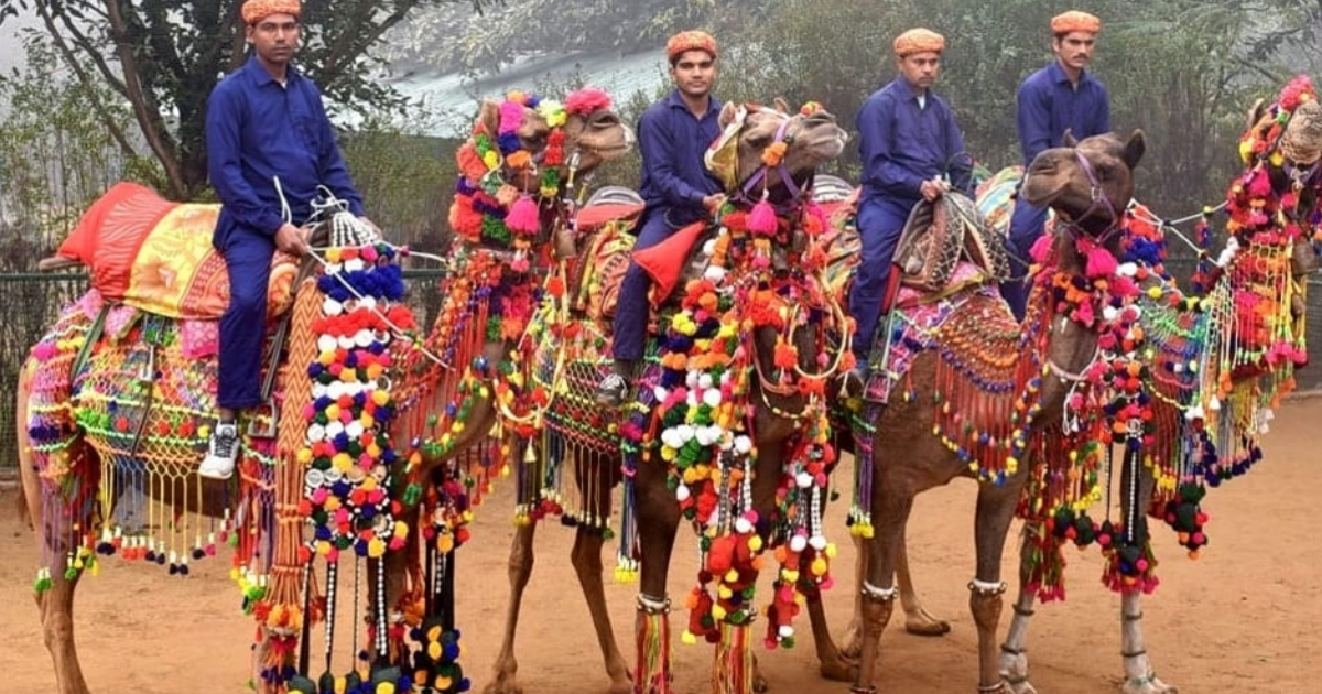 Enjoy Mud Bath, Camel Ride And Unlimited Food At Pratapgarh Farms, Just 100 Km From Delhi