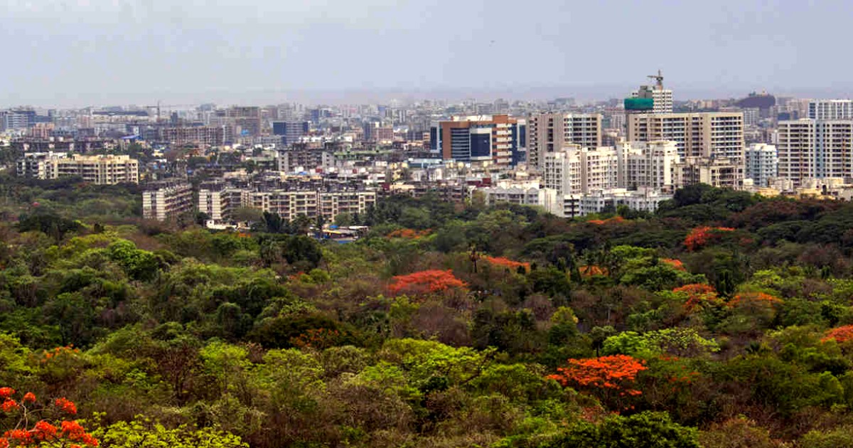 Aarey Forest Shed Site Being Cleared & Closed; Victory For Nature Lovers In Mumbai