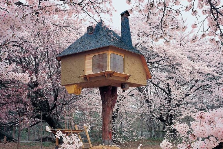 treehouses in the world