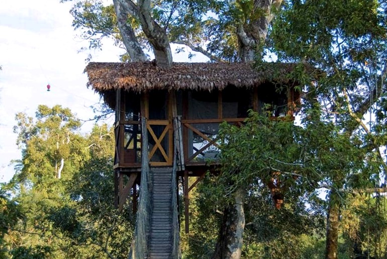 treehouses in the world