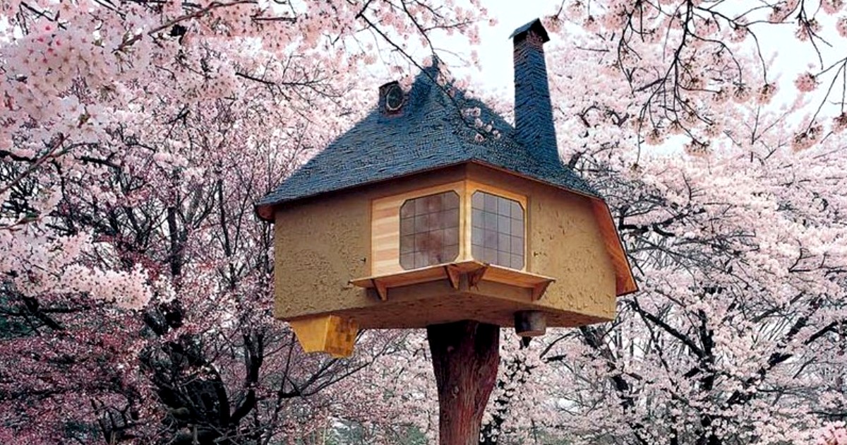 6 Coolest Treehouses To Make You Forget About The Crazy City Life