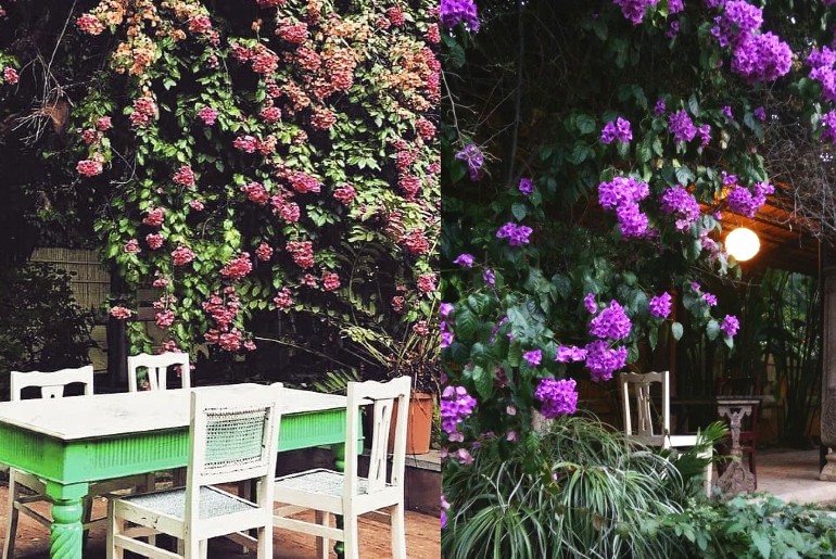 garden cafes in bangalore